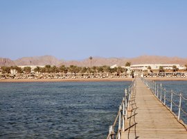 Отдых в Египте, отель Royal Albatros Moderna 5*