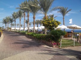 Отдых в Египте, отель - Sunrise Diamond Beach Resort 5*